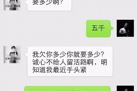 赵县债务清欠服务